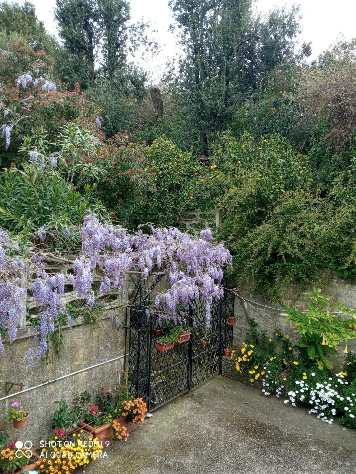 Belvedere Di Caiazzo 외부 사진