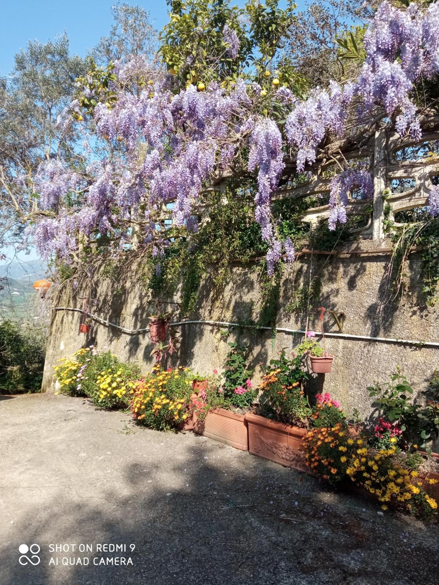 Belvedere Di Caiazzo 외부 사진