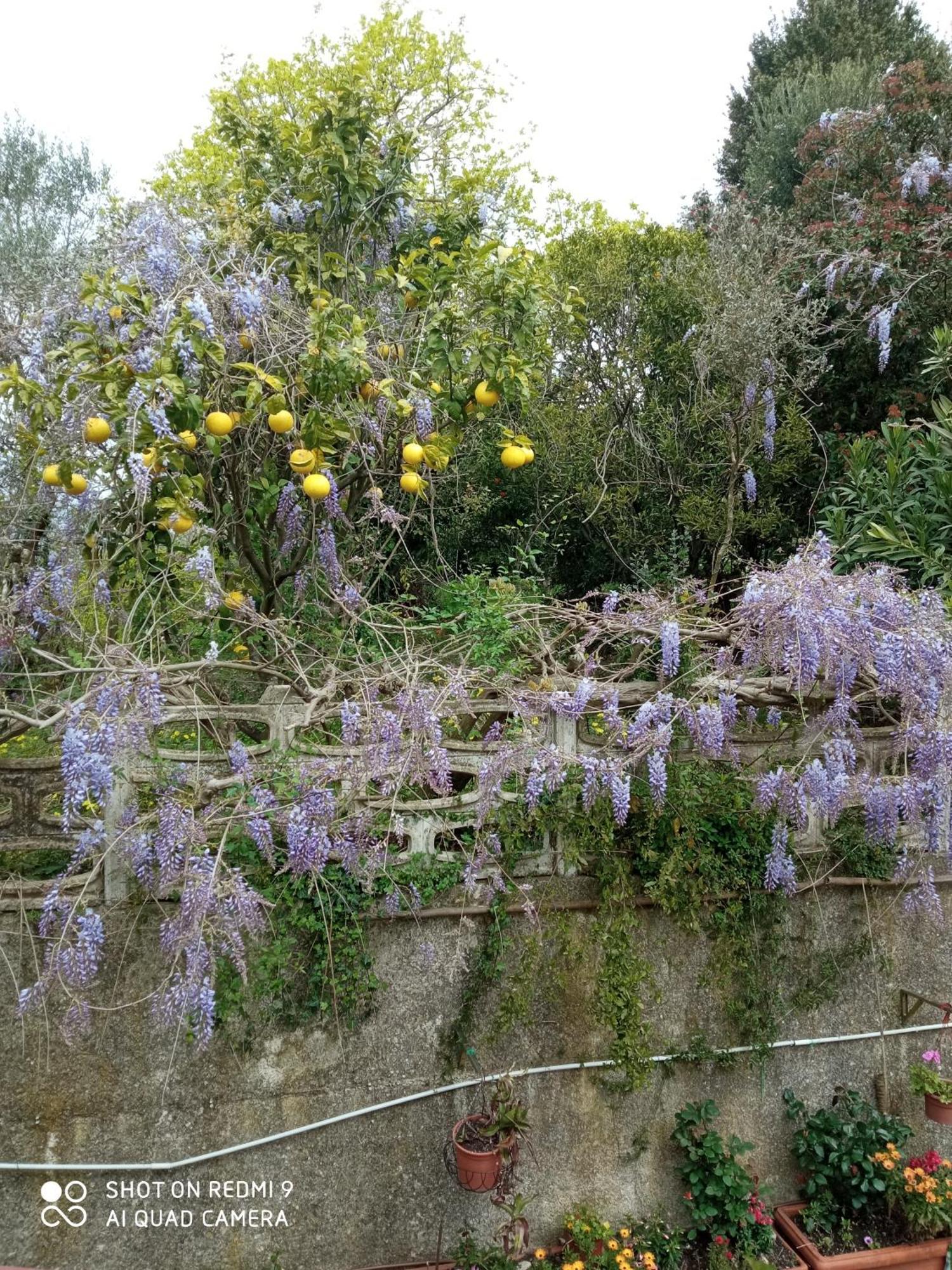 Belvedere Di Caiazzo 외부 사진